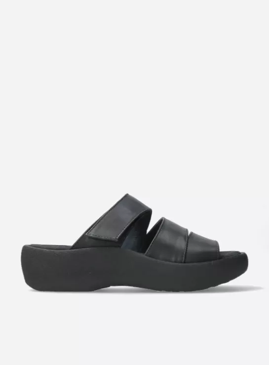 DAMES Wolky Aporia