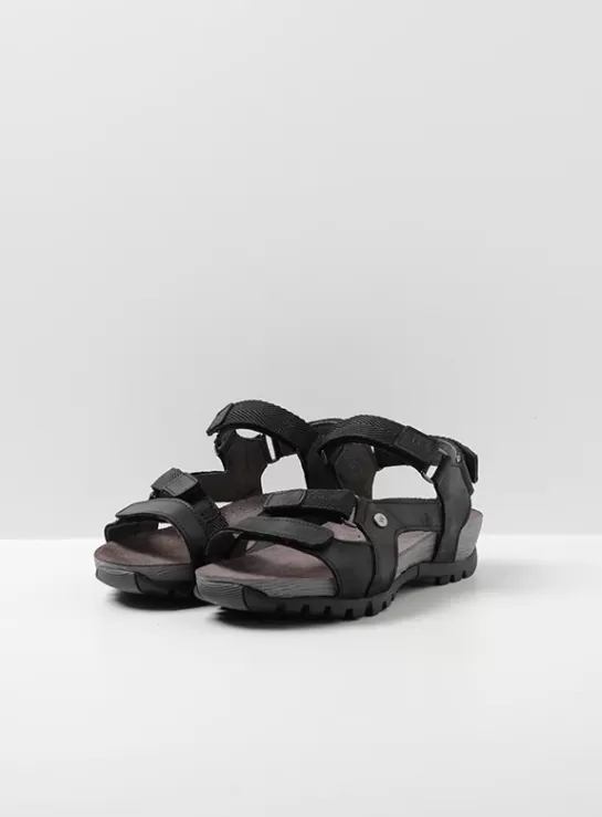 DAMES Wolky Cradle