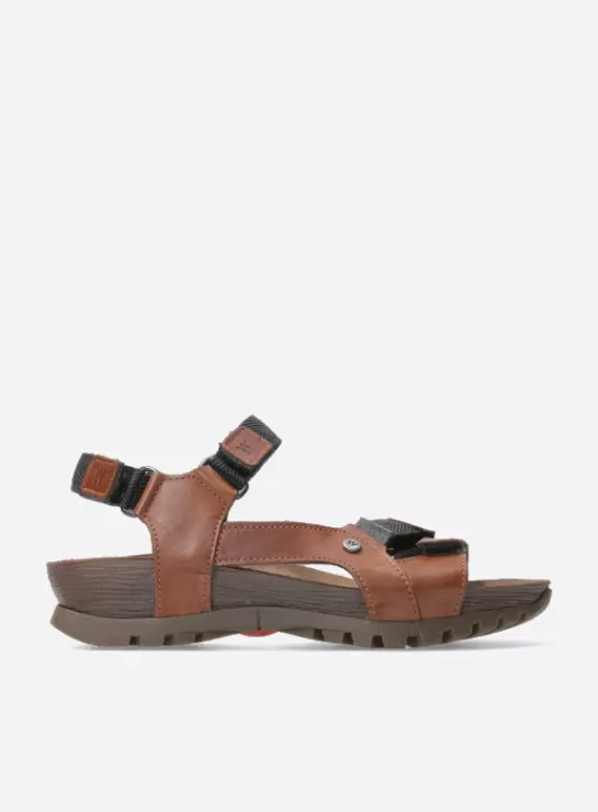 DAMES Wolky Cradle