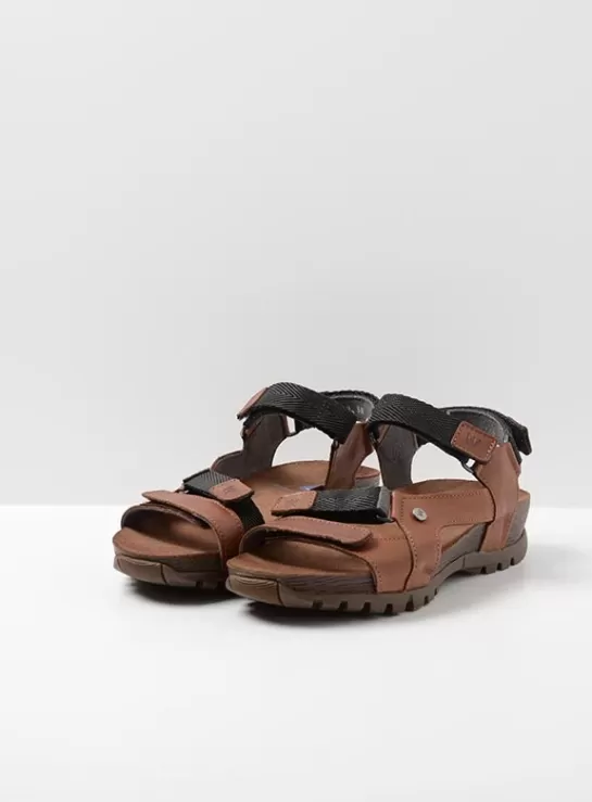 DAMES Wolky Cradle