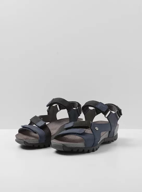 DAMES Wolky Cradle