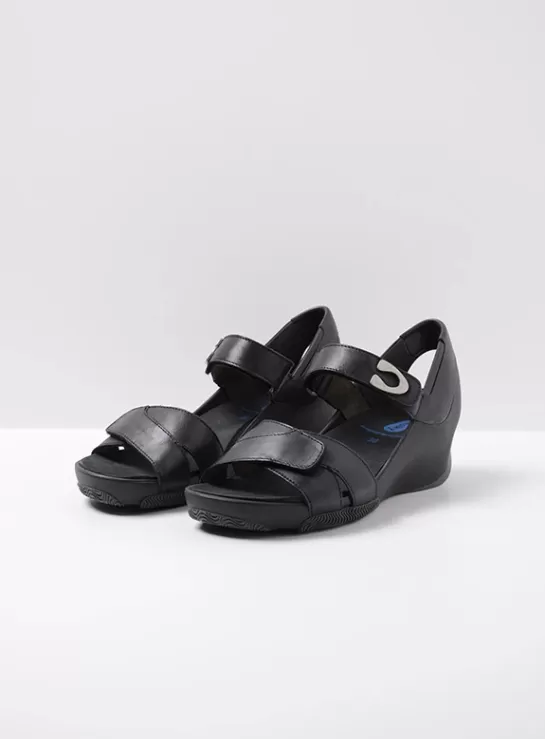 DAMES Wolky Epoch