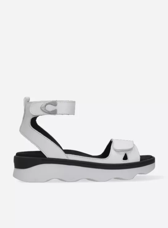 DAMES Wolky Plata