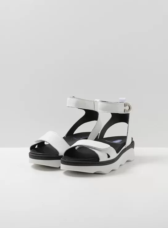 DAMES Wolky Plata