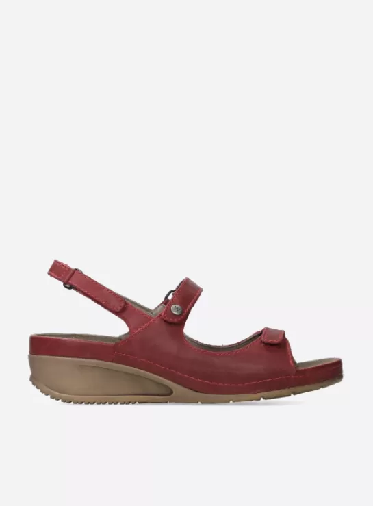 DAMES Wolky Shallow