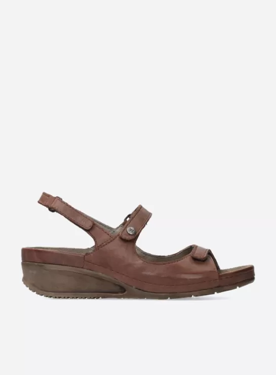 DAMES Wolky Shallow